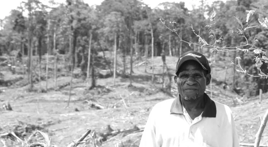Foto Halaman Depan: PT. HIP Membabat Hutan Tulungwes,   Kampung Malalilis, Distrik Klayili, Kab