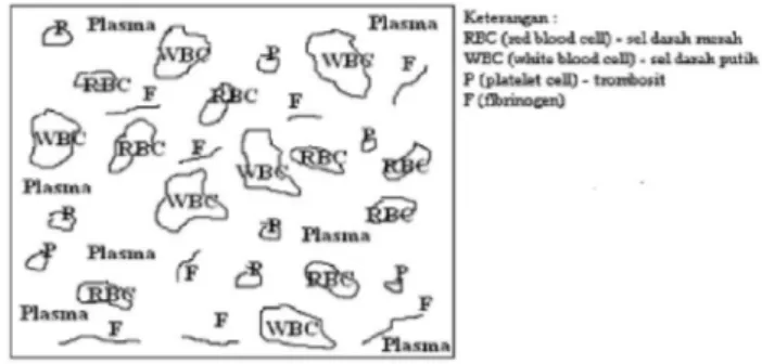 Gambar 1. Komponen Darah 