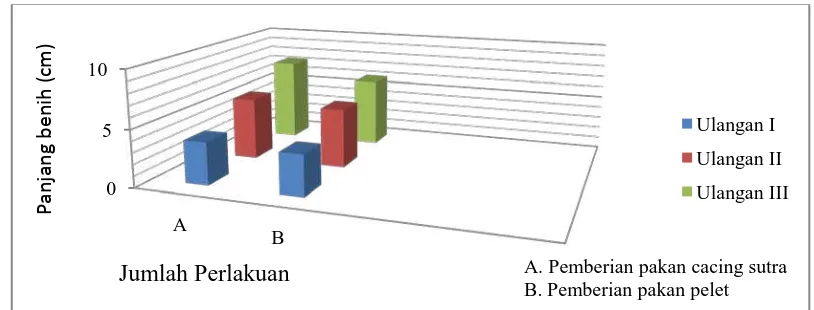 Gambar 3. Diagram Pertumbuhan Panjang Benih Ikan Lele Sangkuriang pada 2            Perlakuan dan 3 Kali Ulangan