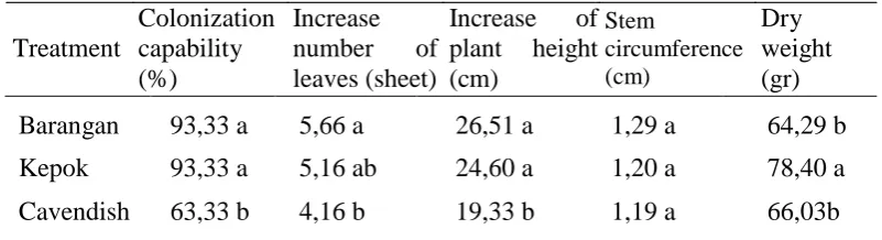 Table 3. Effect of surface and endophytic colonization capability of T. viride (T1sk) on banana seedling roots to plant growth 