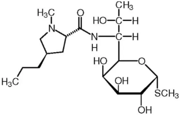 Gambar 5.  Struktur kimia lincomisin  