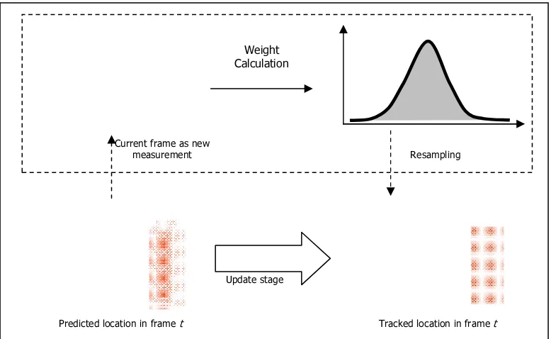 Figure 3. Update Stage in Human Tracking Process 
