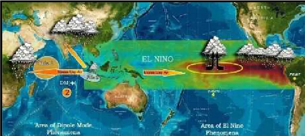 Gambar 2.2 Pengaruh  Fenomena El  Nino dan  IOD Negatif untuk  wilayah Indonesia