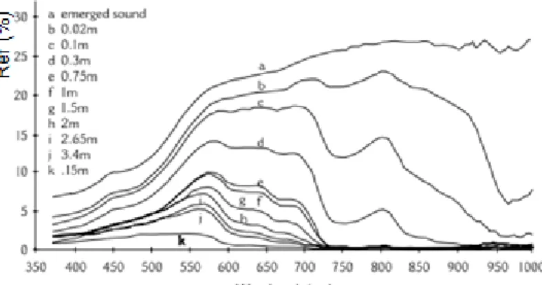 Gambar 2-1: Reﬂektansi spektral perairan dangkal dari kedalaman 0.02 to 15 m Source (Lafon et al.,  2002) 