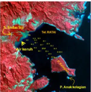 Gambar 4-1: Data  satelit  SPOT-4    RGB  321  Teluk  Ratai  yang  diintegrasikan  titik-titik pengamatan 