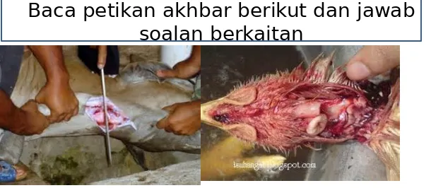 Gambar di atas menunjukkan  Islam 