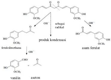 Gambar 2.1 Degradasi kurkumin dalam pH basa (Kumavat, et al., 2013) 