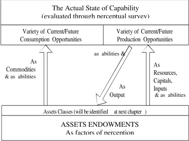 Figure 7: Asset-Capabilities Relationship 
