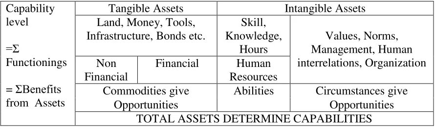 Table  6. Assets Classification as Sources of Capabilities 