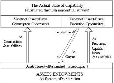 Figure 7: Asset-Capabilities Relationship 