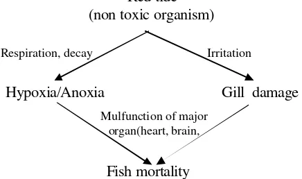 Figure 2. Schematic Effect of Red Tide Non-toxic Organisms on Fish 