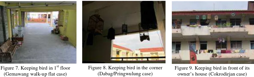 Figure 8. Keeping bird in the corner 