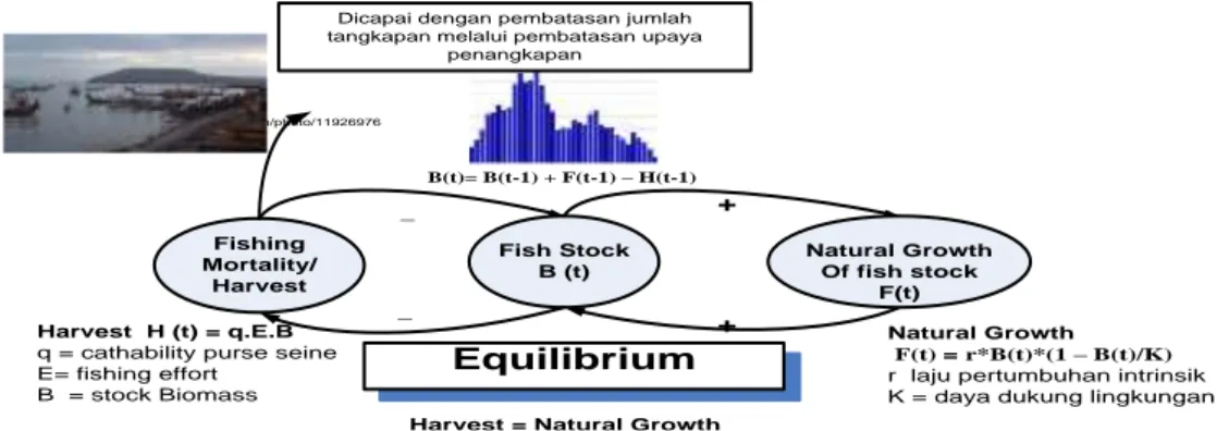 Gambar 1.  Keseimbangan antara laju pertumbuhan stok ikan vs jumlah tangkapan  (Sumber : Purwaningsih, 2014) 