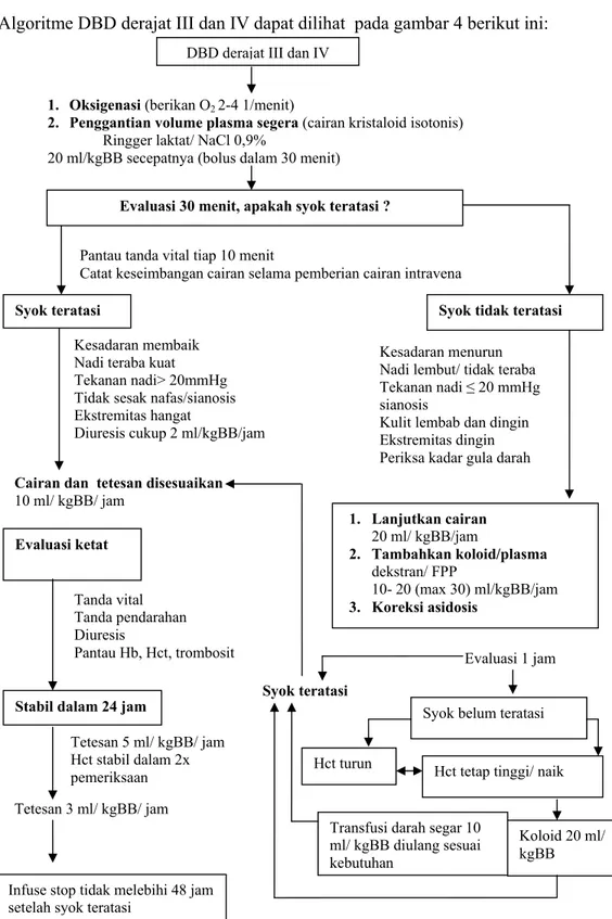 Gambar 4. Algoritma tatalaksana DBD Derajat III dan IV 
