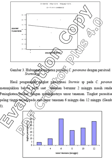 Gambar 3. Hubungan kepadatan populasi C. pavonana dengan parsitoid 