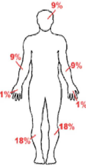Gambar 9.  Rule of nine    