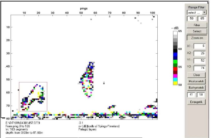 Gambar 3. Tampilan Pengolahan (processing) Program ADA-versi 2004.