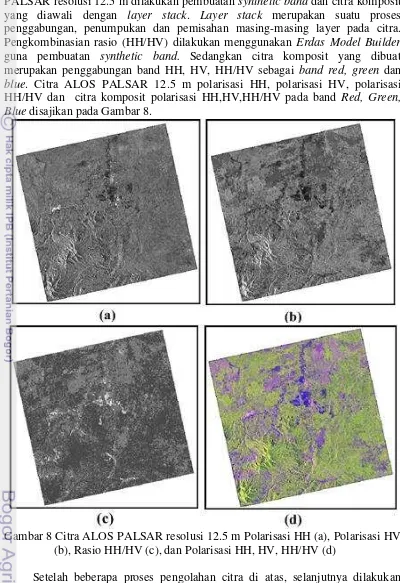 Gambar 8 Citra ALOS PALSAR resolusi 12.5 m Polarisasi HH (a), Polarisasi HV 