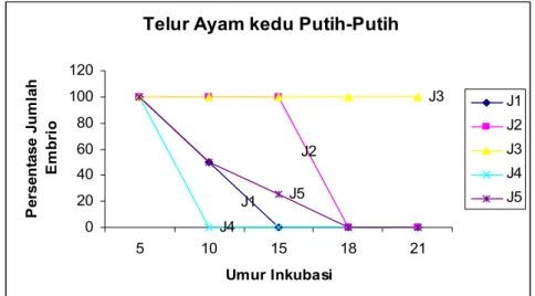 Ilustrasi  3. Grafik Persentase Perkembangan Embrio Telur Ayam Kedu Putih