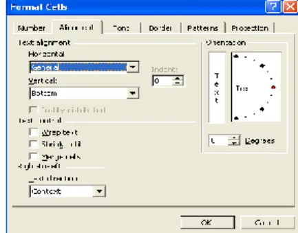 Gambar 12   Kotak dialog Format Cells Alignment 
