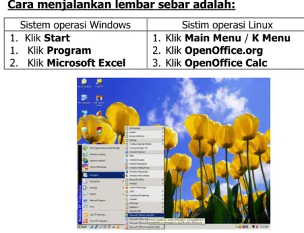 Gambar 1  Menjalankan lembar sebar 