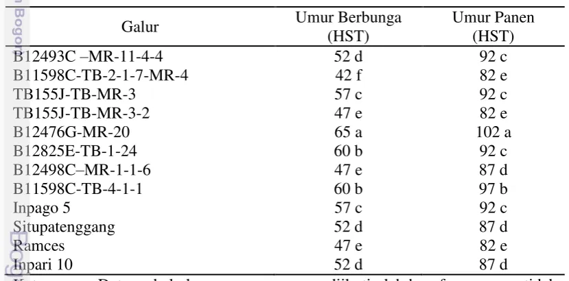 Tabel 4.  Umur Berbunga dan Umur Panen  Galur-galur Padi Sawah  