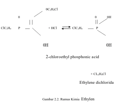 Gambar 2.2. Rumus Kimia  Ethylen 