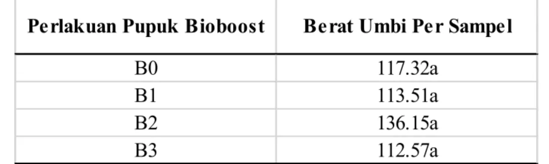 Tabel 11.Pengaruh Pupuk Bioboost Terhadap Rataan Berat Umbi Per Sampel.  Berat Umbi Per Sampel