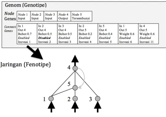 Gambar 6: Genotipe dan Fenotipe NEAT (Stanley, 2004) 
