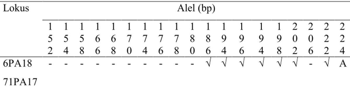 Tabel 4.4 Panjang fragmen hasil amplifikasi silang pada lokus 6Pa18 dan 71Pa17 