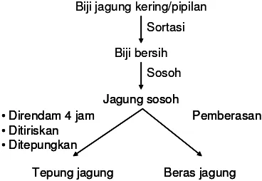 Gambar 1. Proses pembuatan beras dan tepung jagung.