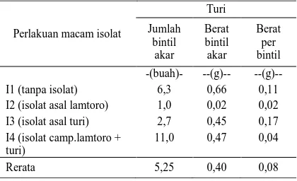 Tabel 5. Rerata Jumlah dan Berat Bintil Akar Efektif  Tanaman Turi pada Berbagai Macam Isolat Rhizobium 