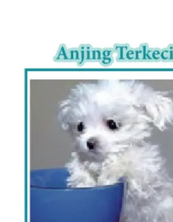 Gambar 1.6 Anjing mini