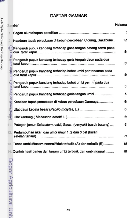 Gambar Halaman 