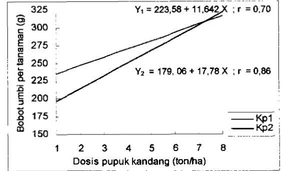 Gambar 5. Pengaruh pupuk kandang terhadap bbot umbi per tanaman 