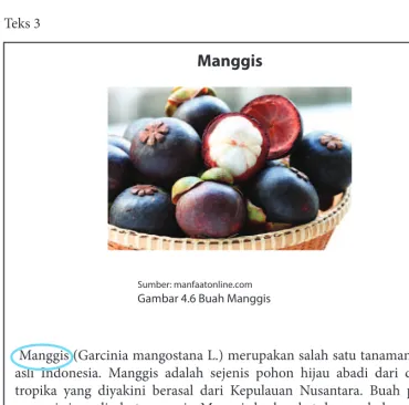 Gambar 4.6 Buah Manggis