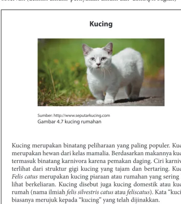 Gambar 4.7 kucing rumahan