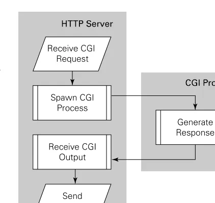Figure 1.1Server process for running CGI  programs