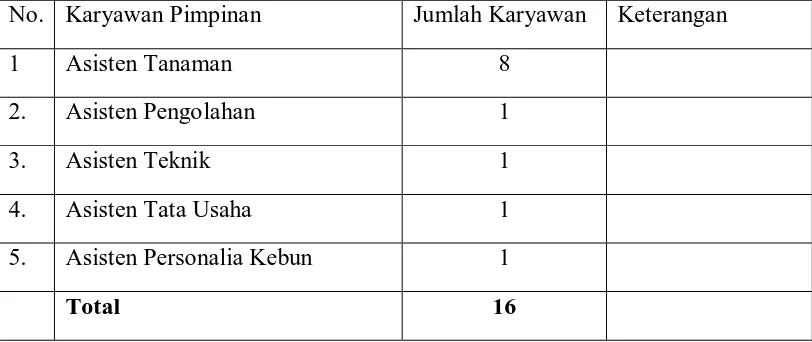 Tabel 5. Kategori Karyawan Pimpinan di Kebun Rambutan PTPN III. 