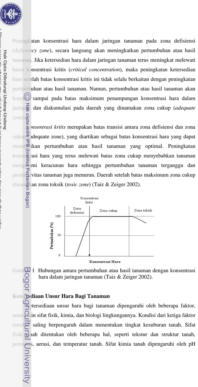 Gambar 1  Hubungan antara pertumbuhan atau hasil tanaman dengan konsentrasi  hara dalam jaringan tanaman (Taiz &amp; Zeiger 2002)