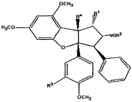 Gambar 2.1 Struktur rokaglamida (Janprrtsert et ai. 1993; Nugroho et ul. 199%; Proksch al