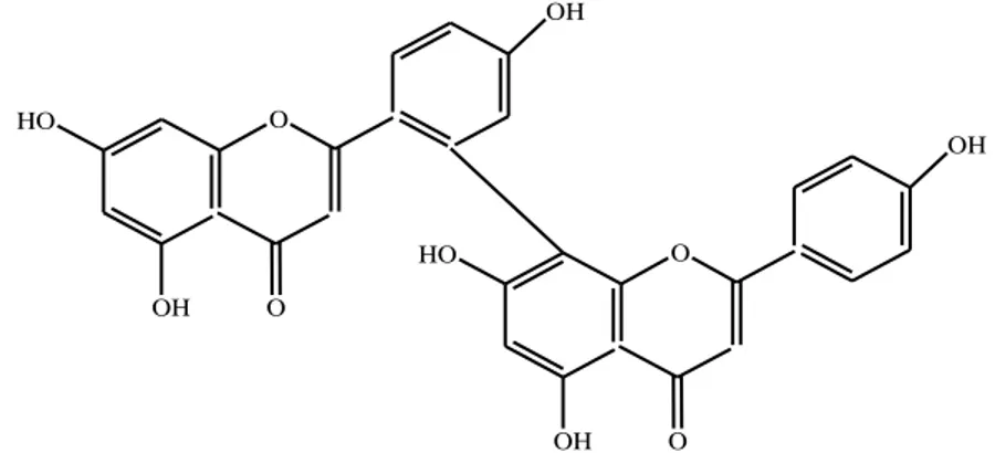 Gambar 2.4 Biflavonoid (Markam, 1988) 