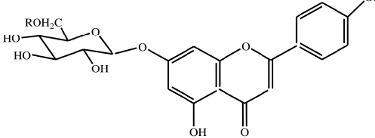 Gambar 2.2 Flavonoid-O-Glikosida (Markam, 1988) 