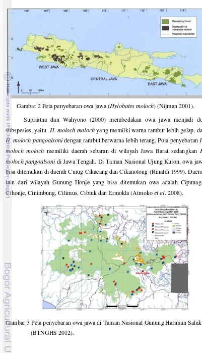 Gambar 3 Peta penyebaran owa jawa di Taman Nasional Gunung Halimun Salak 