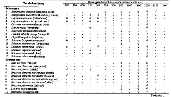 Tabel 3.2 Tumbuhan inang &us persicae dan persebarannya pada ketinggian tempat di atas permukaan laut 