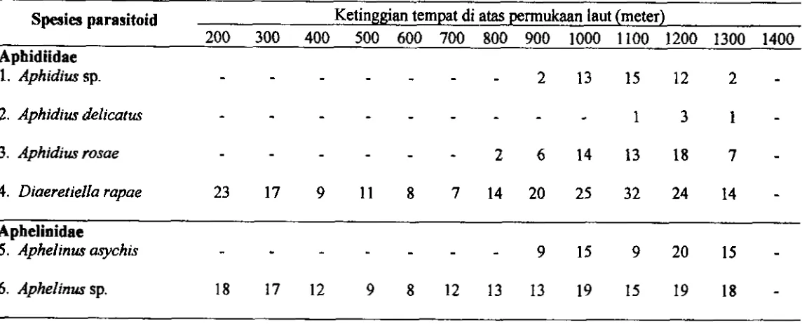 Tabel 3.5 Persebaran prasi toid kutudaun Mzus persicae berdasarkan keti nggian tempat di abs permukaan laut 