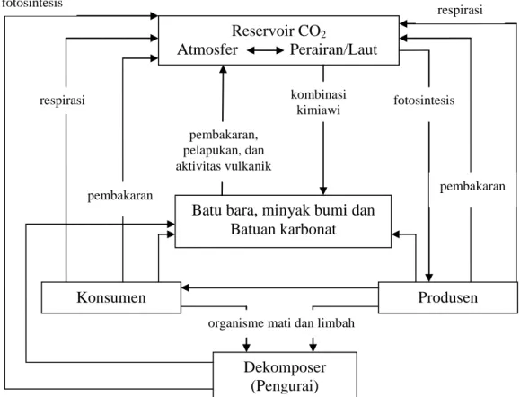 Gambar 2. Siklus Karbon di Bumi (Effendi, 2003). 
