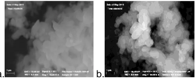 Gambar 3.8. SEM dari komposit A setelah dikalsinasi pada 550°C (a) dan 850°C (b). 