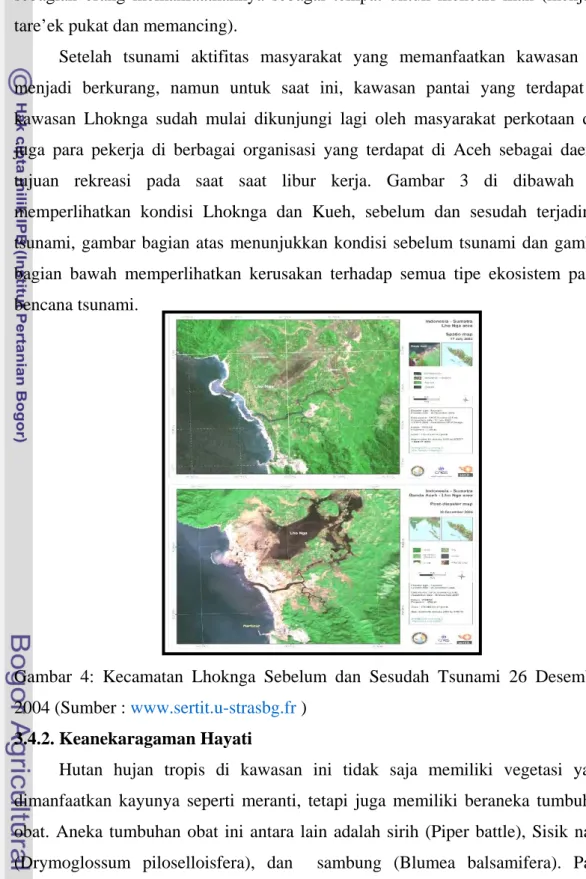 Gambar 4: Kecamatan Lhoknga Sebelum dan Sesudah Tsunami 26 Desember  2004 (Sumber : www.sertit.u-strasbg.fr ) 