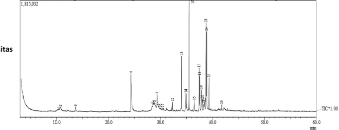 Gambar 1. Kromatogram ektrak etanol daun mangkokan Intensitas 